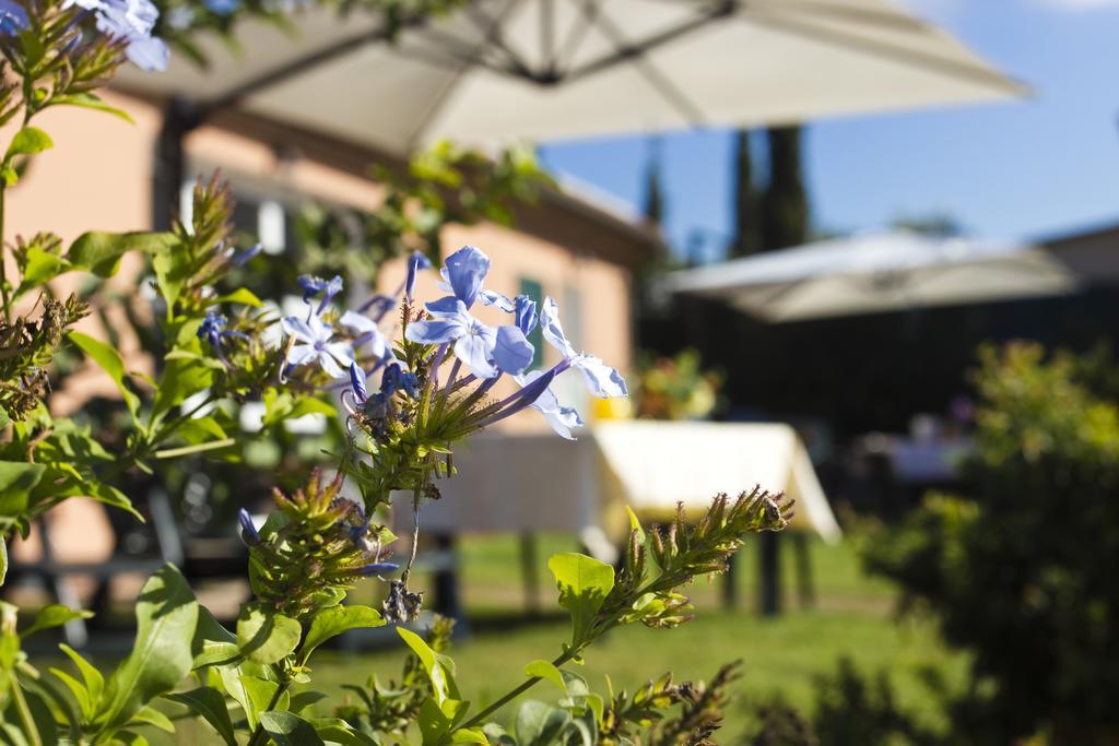 Agriturismo Ferruggini ボルゲリ エクステリア 写真