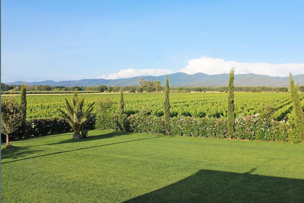 Agriturismo Ferruggini ボルゲリ エクステリア 写真